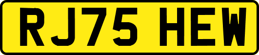 RJ75HEW
