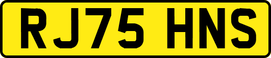 RJ75HNS