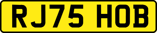 RJ75HOB