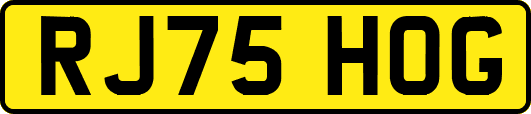 RJ75HOG