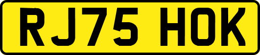 RJ75HOK