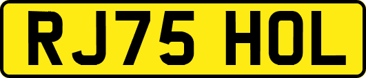 RJ75HOL