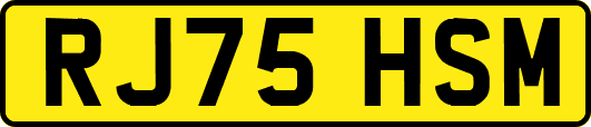 RJ75HSM