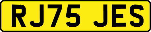 RJ75JES