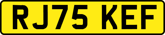 RJ75KEF