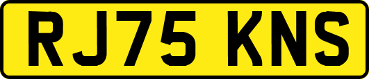 RJ75KNS