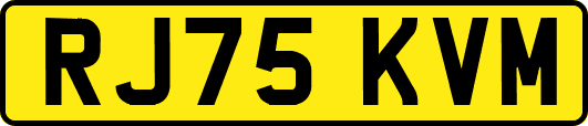 RJ75KVM