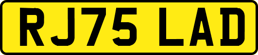 RJ75LAD