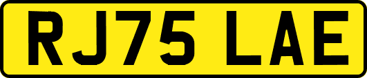 RJ75LAE