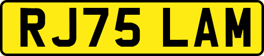 RJ75LAM