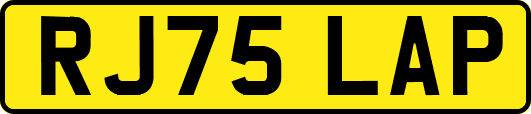 RJ75LAP