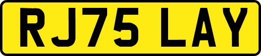 RJ75LAY