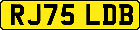 RJ75LDB