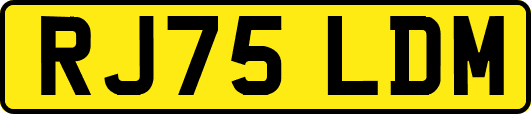 RJ75LDM