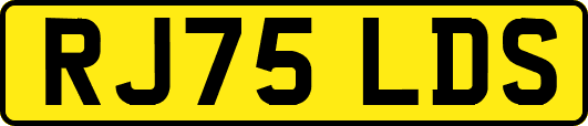 RJ75LDS