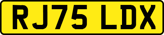 RJ75LDX
