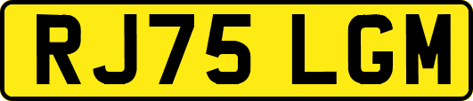 RJ75LGM