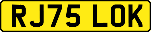 RJ75LOK