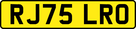 RJ75LRO