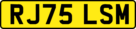 RJ75LSM