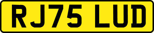 RJ75LUD