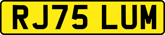 RJ75LUM