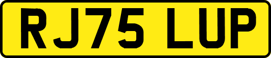 RJ75LUP