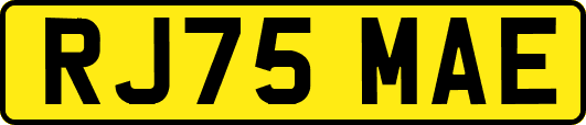 RJ75MAE