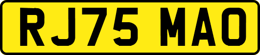 RJ75MAO