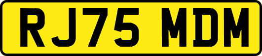 RJ75MDM
