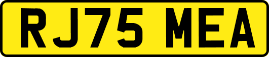 RJ75MEA