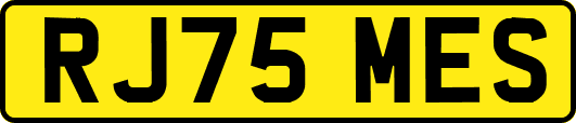 RJ75MES