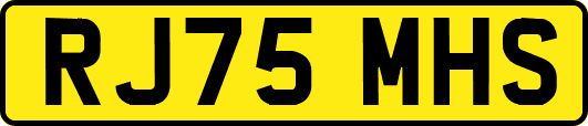 RJ75MHS