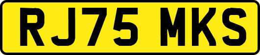 RJ75MKS