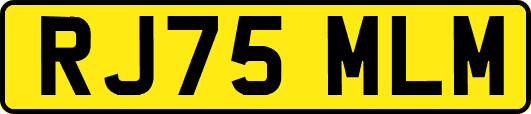 RJ75MLM