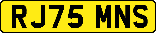 RJ75MNS