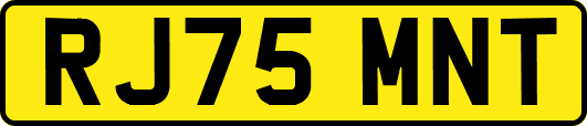 RJ75MNT