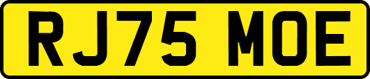 RJ75MOE