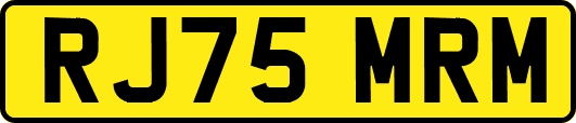 RJ75MRM