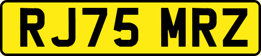 RJ75MRZ