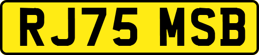 RJ75MSB