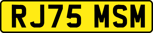 RJ75MSM