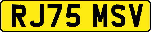 RJ75MSV