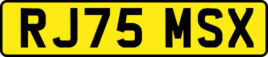 RJ75MSX