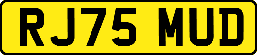 RJ75MUD