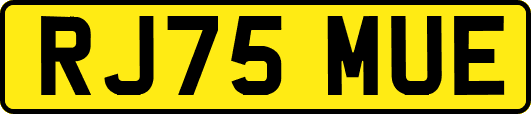 RJ75MUE