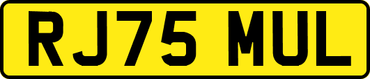 RJ75MUL