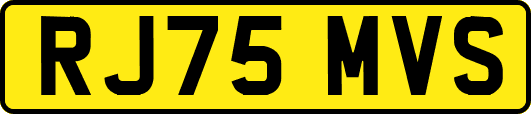 RJ75MVS