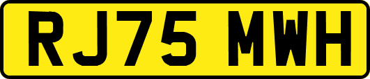 RJ75MWH