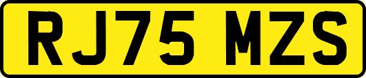 RJ75MZS